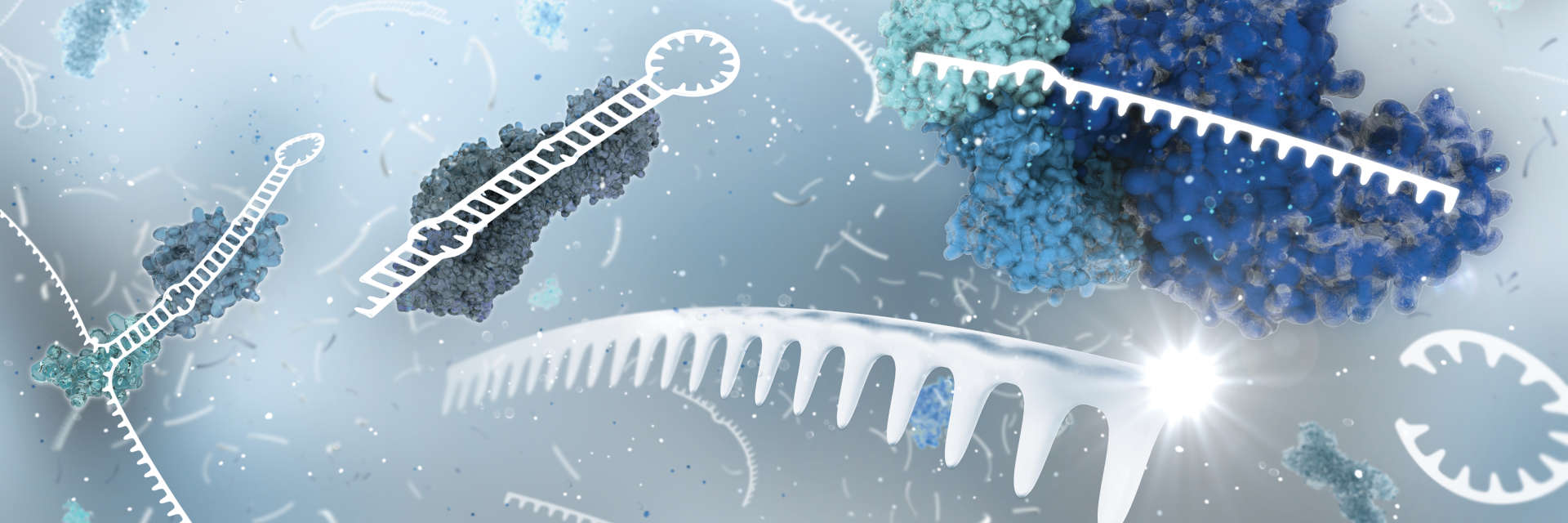 miRNA, microRNA, RISC, ribosome, mRNA, biogenesis, pre-miRNA, pri-miRNA, Exportin-5, Dicer, Argonaute, DGCR8, Drosha, gene expression, RNA, PCR